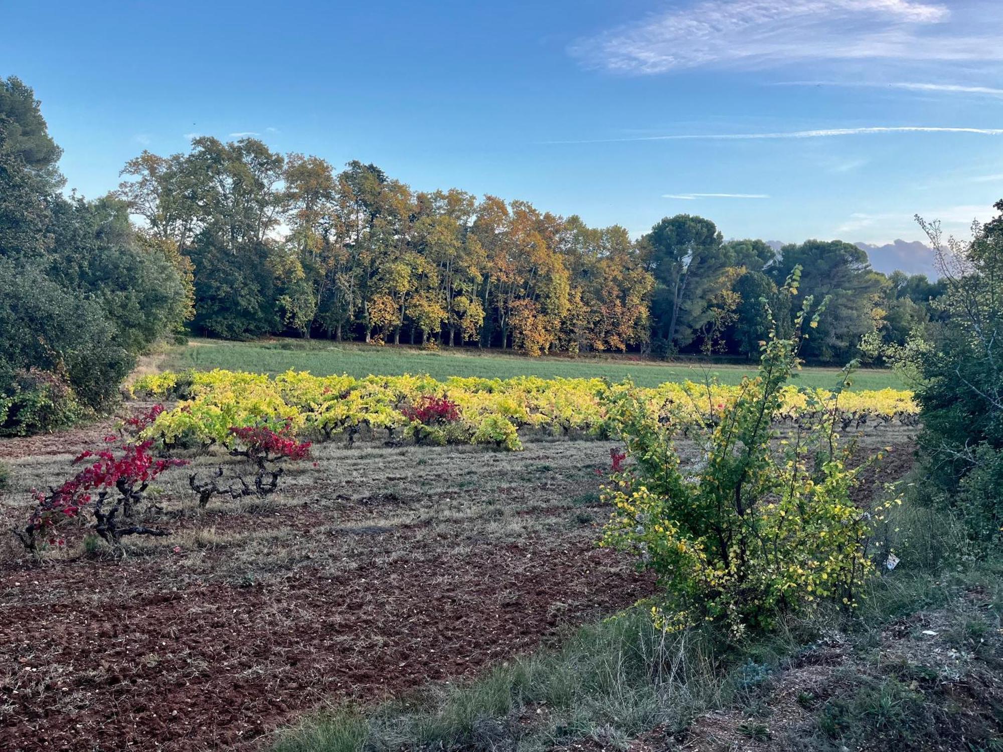 Maison Provencale Au Calme De La Campagne Avec Jacuzzi Aix-en-Provence Exteriör bild