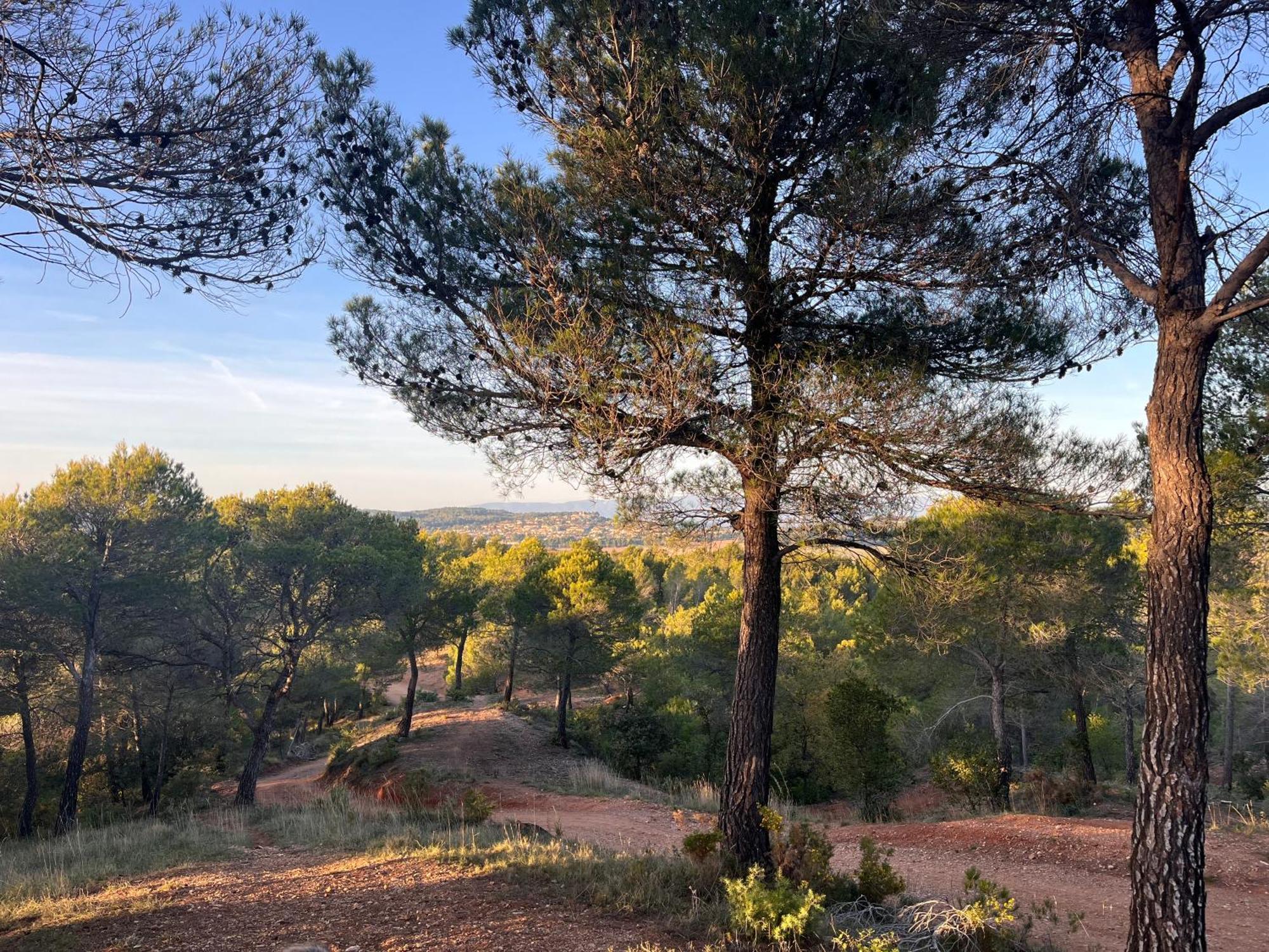 Maison Provencale Au Calme De La Campagne Avec Jacuzzi Aix-en-Provence Exteriör bild